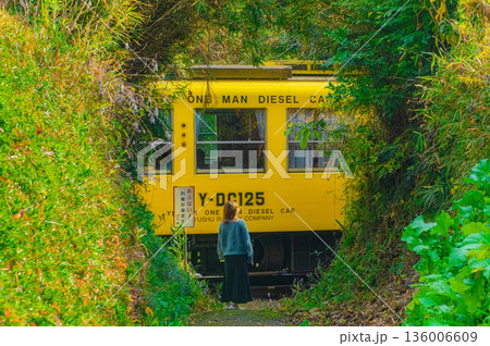 森のトンネルの先を通過する列車 136006609