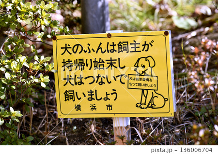 日本の横浜都市景観「犬のふんは飼主が持帰り始末し犬はつないで飼いましょう」「犬は終生愛情…＝横浜市内 136006704