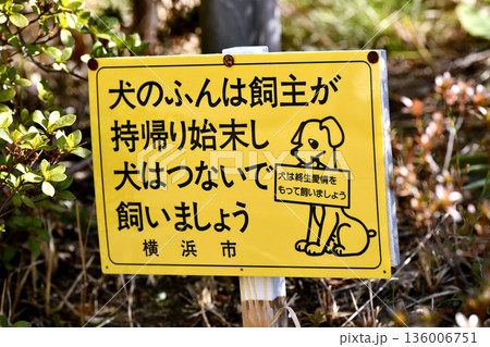 日本の横浜都市景観「犬のふんは飼主が持帰り始末し犬はつないで飼いましょう」「犬は終生愛情…=横浜市内 日本の横浜都市景観「犬のふんは飼主が持帰り始末し犬はつないで飼いましょう」「犬は終生愛情…=横浜市内 136006751