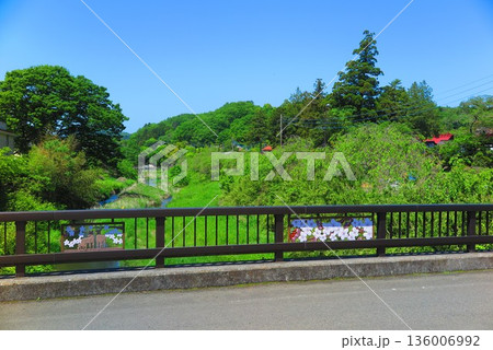 千石橋から見た平井川の風景2 千石橋から見た平井川の風景2 136006992