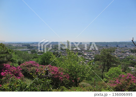 高台から見た街の風景2 136006995