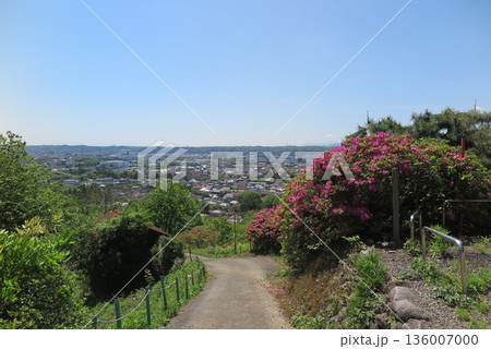 高台から見た街の風景7 136007000