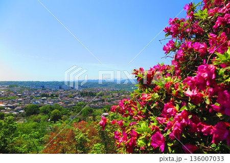 高台から見た街の風景11 136007033