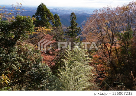 高尾山の秋 136007232