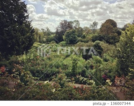 フランス・ジヴェルニー モネの庭 花々が咲き誇る豊かな庭園と広がる夏の空 136007344