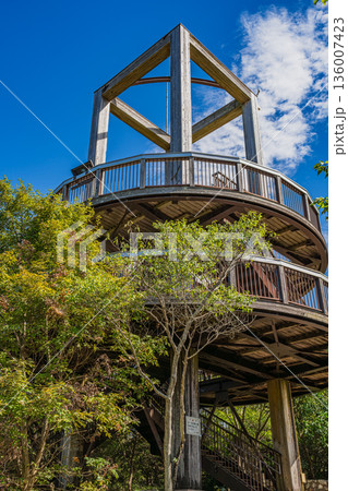 豊橋市の岩屋緑地の風景(愛知県) 136007423