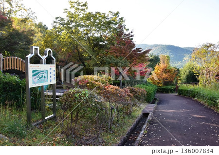 神奈川県　小田原こどもの森公園わんぱくらんど散策路とアスレチック広場 136007834