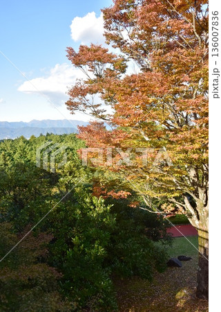 神奈川県　小田原こどもの森公園わんぱくらんどの見晴らしの丘からの眺望 136007836