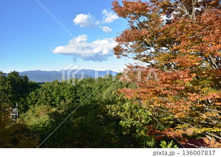 神奈川県　小田原こどもの森公園わんぱくらんどの見晴らしの丘からの眺望 136007837