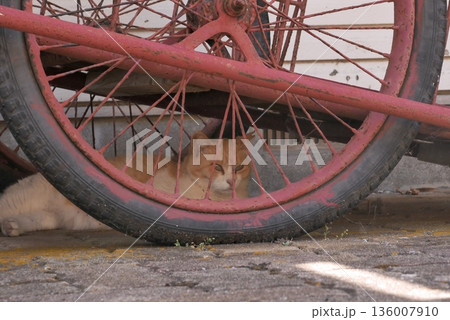 車輪の横 136007910