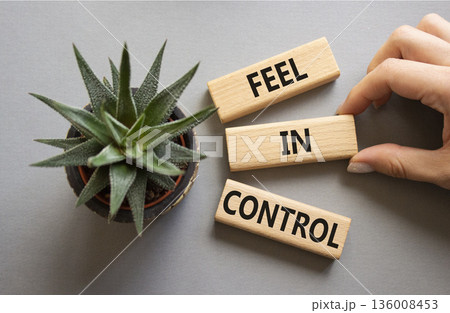 Feel in Control symbol. Wooden blocks with words Feel in Control. Beautiful grey background with succulent plant. Businessman hand. Business and Feel in Control concept. Copy space. Feel in Control symbol. Wooden blocks with words Feel in Control. Beautiful grey background with succulent plant. Businessman hand. Business and Feel in Control concept. Copy space. 136008453