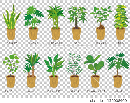 室內植物插圖集 室內植物插圖集 136008460