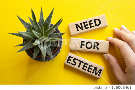 Need for Esteem symbol. Concept words Need for Esteem on wooden blocks. Beautiful yellow background with succulent plant. Businessman hand. Business and Need for Esteem concept. Copy space. Need for Esteem symbol. Concept words Need for Esteem on wooden blocks. Beautiful yellow background with succulent plant. Businessman hand. Business and Need for Esteem concept. Copy space. 136008461