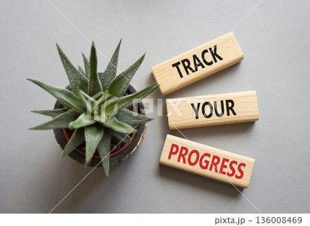 Progress symbol. Wooden blocks with words Track Your Progress. Beautiful grey background with succulent. Business and Track Your Progress concept. Copy space. Progress symbol. Wooden blocks with words Track Your Progress. Beautiful grey background with succulent. Business and Track Your Progress concept. Copy space. 136008469
