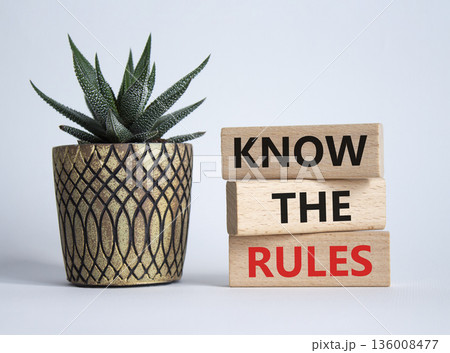 Know the rules symbol. Wooden blocks with words Know the rules. Beautiful white background with succulent plant. Business and Know the rules concept. Copy space. Know the rules symbol. Wooden blocks with words Know the rules. Beautiful white background with succulent plant. Business and Know the rules concept. Copy space. 136008477