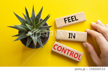 Feel in Control symbol. Wooden blocks with words Feel in Control. Beautiful yellow background with succulent plant. Businessman hand. Business and Feel in Control concept. Copy space. Feel in Control symbol. Wooden blocks with words Feel in Control. Beautiful yellow background with succulent plant. Businessman hand. Business and Feel in Control concept. Copy space. 136008532