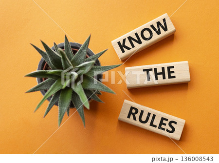 Know the rules symbol. Wooden blocks with words Know the rules. Beautiful orange background with succulent plant. Business and Know the rules concept. Copy space. 136008543