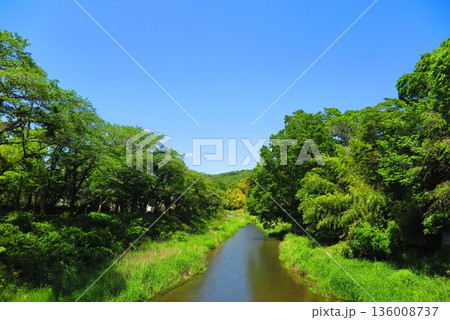 東平井橋から見た平井川と山々の風景3 136008737
