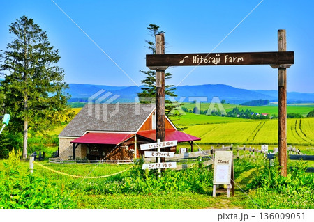 北海道美瑛町 北西の丘展望公園から望む牧歌的風景 北海道美瑛町 北西の丘展望公園から望む牧歌的風景 136009051
