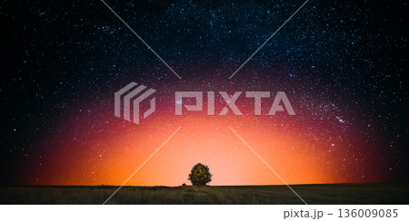 Night Starry Sky Above Lonely Tree In Meadow. Glowing Stars And Wood In Summer Countryside Landscape. 136009085