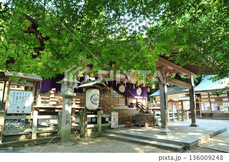 枚岡神社 136009248