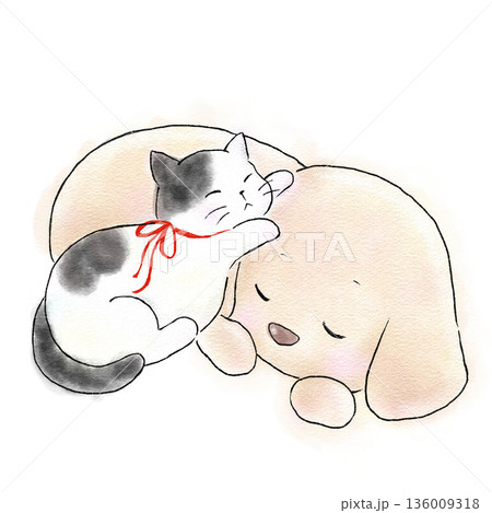 丸くなって一緒に眠る猫と犬 丸くなって一緒に眠る猫と犬 136009318