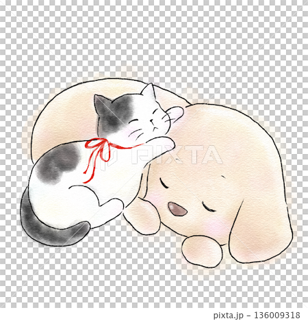 丸くなって一緒に眠る猫と犬 丸くなって一緒に眠る猫と犬 136009318