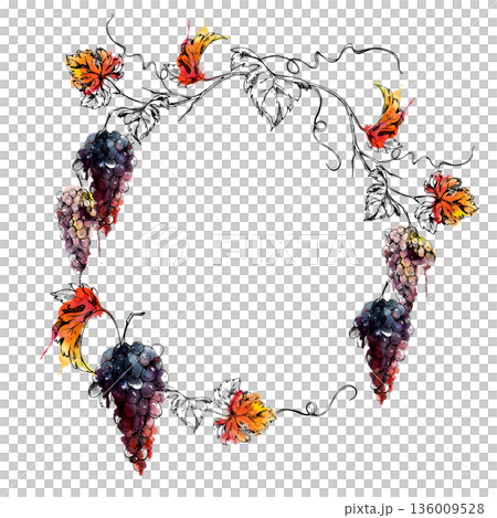 Wreath frame of ripe grape bunches on curving leafy vine in watercolor and ink. Perfect for wine labels, viticulture brochures, wrapping accents, restaurant branding and gourmet product identity. Wreath frame of ripe grape bunches on curving leafy vine in watercolor and ink. Perfect for wine labels, viticulture brochures, wrapping accents, restaurant branding and gourmet product identity. 136009528