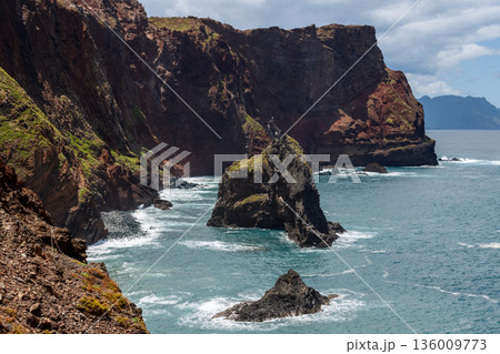 Jagged volcanic cliffs and offshore sea stacks at Point of Saint Lawrence Madeira coast Atlantic 136009773