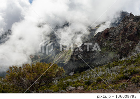 Pico Ruivo ridge in morning fog with jagged volcanic cliffs and slopes emerging above clouds 136009795