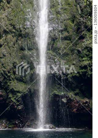 Caldeirao Verde Waterfall route PR9 white ribbon drops down mossy basalt wall into dark pool Caldeirao Verde Waterfall route PR9 white ribbon drops down mossy basalt wall into dark pool 136009804