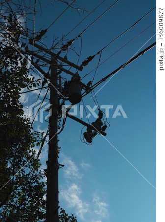 青空に電柱のシルエット 青空に電柱のシルエット 136009877