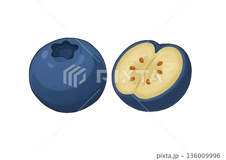 ブルーベリー ブルーベリー 136009996