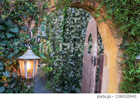 Lantern light up by ivy climber plant at antique door, Yufuin, Oita Lantern light up by ivy climber plant at antique door, Yufuin, Oita 136010043