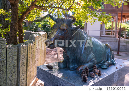 ox sculpture statue, Miyajidake Shrine, Fukutsu, Fukuoka ox sculpture statue, Miyajidake Shrine, Fukutsu, Fukuoka 136010061