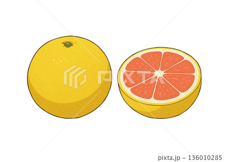 グレープフルーツ グレープフルーツ 136010285