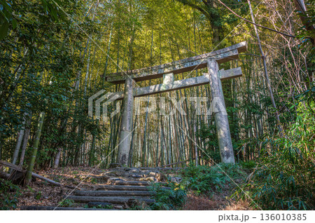 天王山のハイキングコース 京都府乙訓郡大山崎町 天王山のハイキングコース 京都府乙訓郡大山崎町 136010385