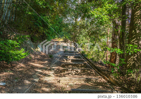天王山のハイキングコース　京都府乙訓郡大山崎町 136010386