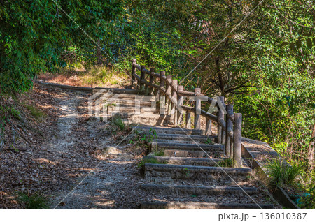 天王山のハイキングコース　京都府乙訓郡大山崎町 136010387