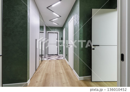 Modern apartment hallway with green textured walls and zigzag ceiling light Modern apartment hallway with green textured walls and zigzag ceiling light 136010452