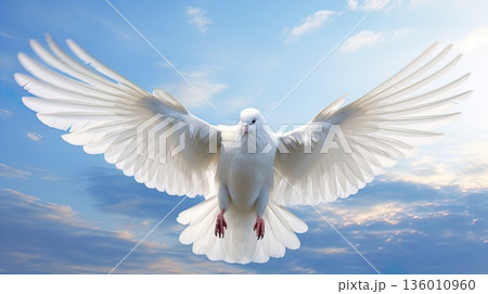white angel with wings white angel with wings 136010960
