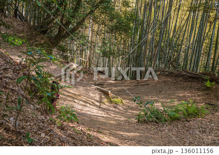 天王山のハイキングコース　京都府乙訓郡大山崎町 136011156