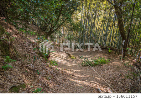 天王山のハイキングコース 京都府乙訓郡大山崎町 天王山のハイキングコース 京都府乙訓郡大山崎町 136011157