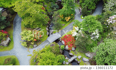 Aerial view on Rhododenddron of 5 colors in Japanese garden: lightpurple, purple; red; orange and yellow and a little pink (6th) in Japanese garden Aerial view on Rhododenddron of 5 colors in Japanese garden: lightpurple, purple; red; orange and yellow and a little pink (6th) in Japanese garden 136011172
