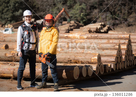 林業など第一次産業で働く人複数の人　高所作業や木を切るチェンソーのチームカメラ目線 136011286
