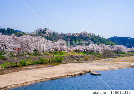 〈島根県〉木次大橋から見た桜並木 〈島根県〉木次大橋から見た桜並木 136011339