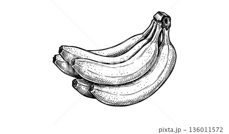 バナナ(房) バナナ(房) 136011572