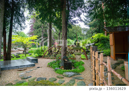 Japanese garden in Vienna with Japanese maple and topiary pine tree and rocks - beauty in nature 136011629