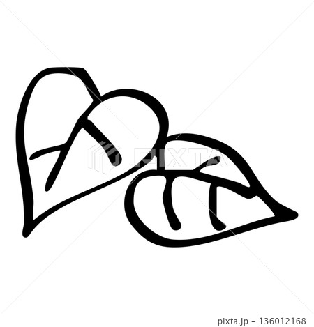 手描き風の葉っぱの線画イラスト素材 136012168