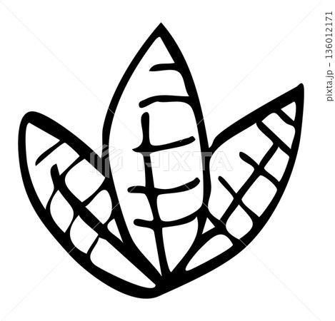 手描き線画の葉っぱ3枚セットのボタニカルイラスト素材 136012171